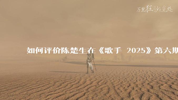 如何评价陈楚生在《歌手 2025》第六期演唱的《未来的主人翁》？